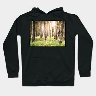 Pinewood Hoodie